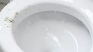 czym usunąć kamień z toalety