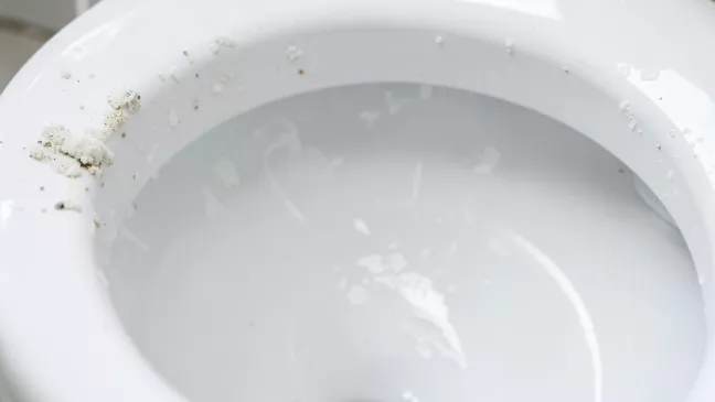 czym usunąć kamień z toalety