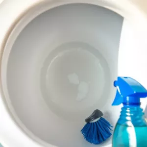 Jak czyścić toaletę z kamienia