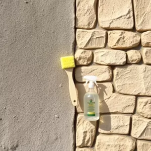 Jak wyczyścić kamień dekoracyjny na ścianie