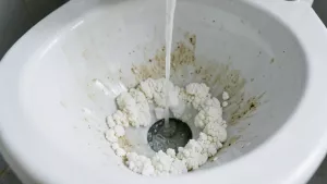 jak wyczyścić kamień w toalecie