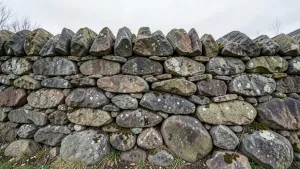 mur z kamienia cena robocizny